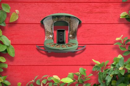 Test de la Birdfy Feeder 2 : quand l’intelligence artificielle s’invite à la mangeoire – MinuteTech